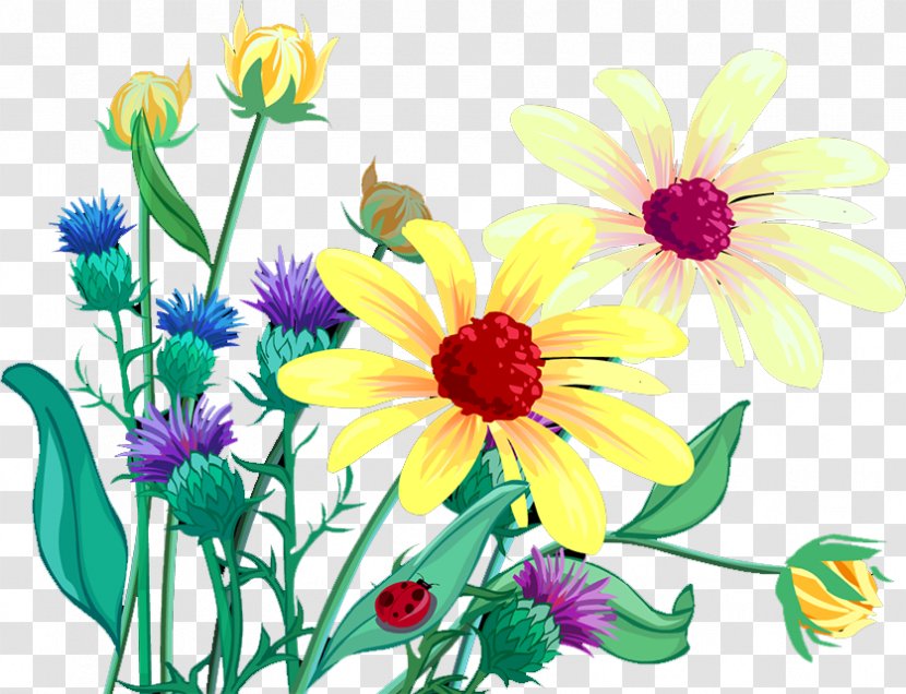 Chrysanthemum Tea - Floral Design Transparent PNG