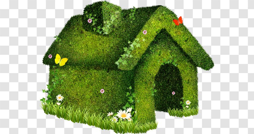 Family Download Android - Organism - Green House Transparent PNG