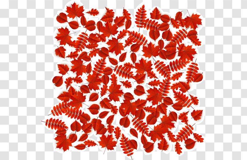 Maple Leaf Euclidean Vector - Flowering Plant - Creative Autumn Red Transparent PNG