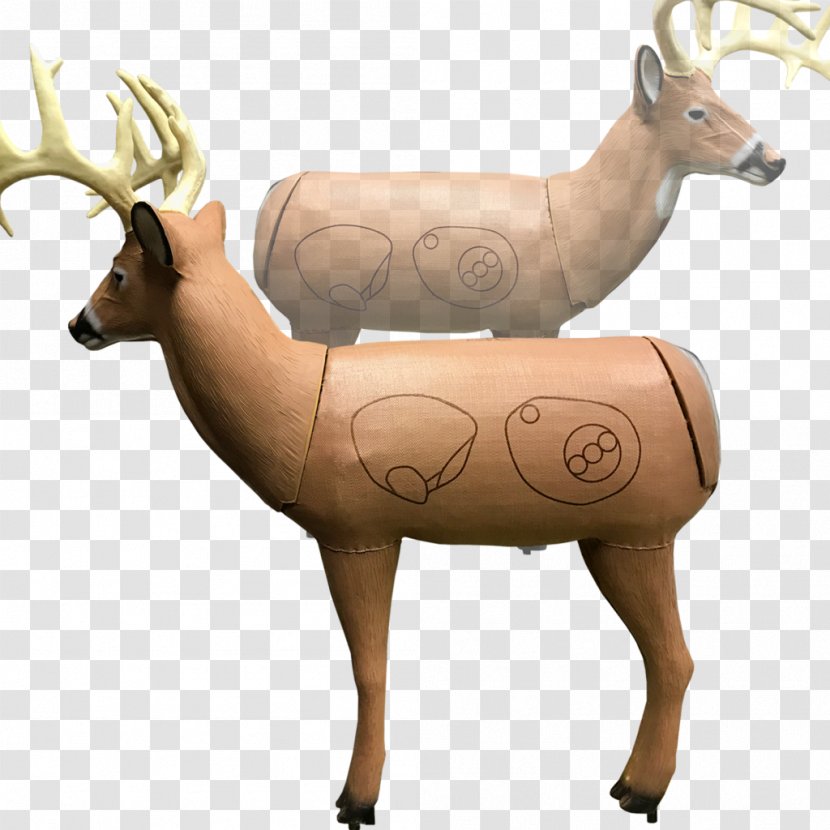 Target Archery Elk Reindeer Morrell Targets Manufacturing - Fauna - Bow And Arrow Shooting Transparent PNG