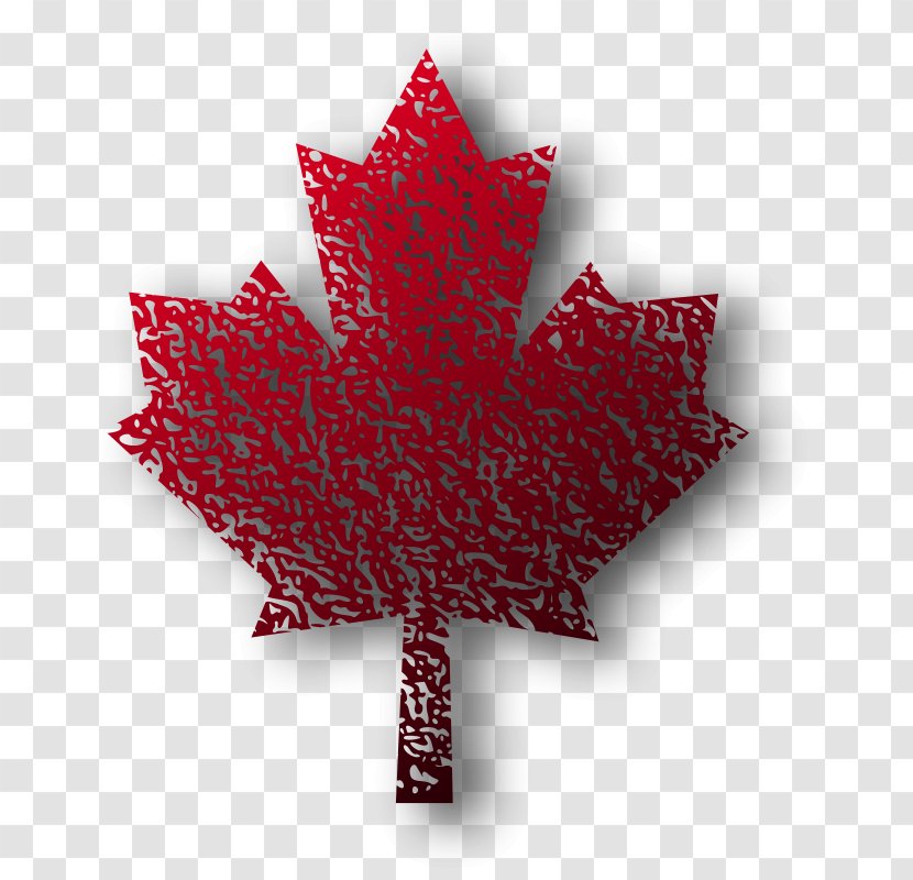 Maple Leaf Clip Art - Tree - Background Transparent PNG