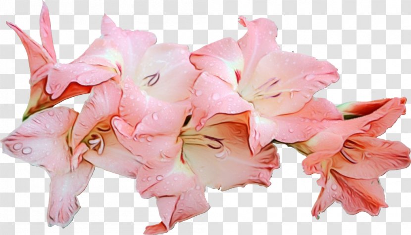 Artificial Flower - Pink - Sweet Peas Transparent PNG