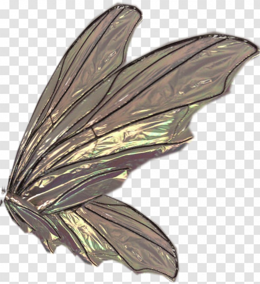 Moth - Invertebrate - Butterflies Float Transparent PNG