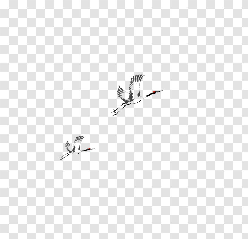 U6740u9621u964c U767du5b50u753b U6649u6c5fu6587u5b78u57ce Supporting Character - Flying Bird Transparent PNG