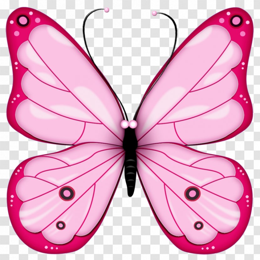 Butterfly Clip Art - Drawing - Pink Image, Butterflies Transparent PNG