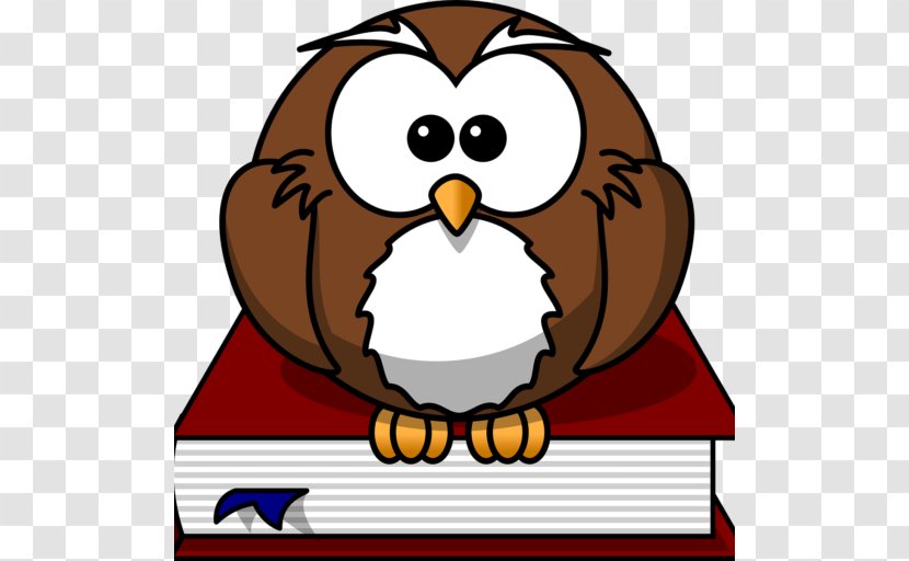 Baby Owls Bird Cartoon Clip Art - Beak - Owl Transparent PNG