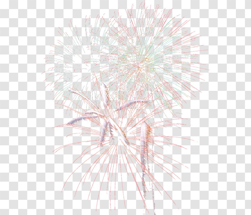 Petal Close-up Pattern - Pink - Fireworks Transparent PNG
