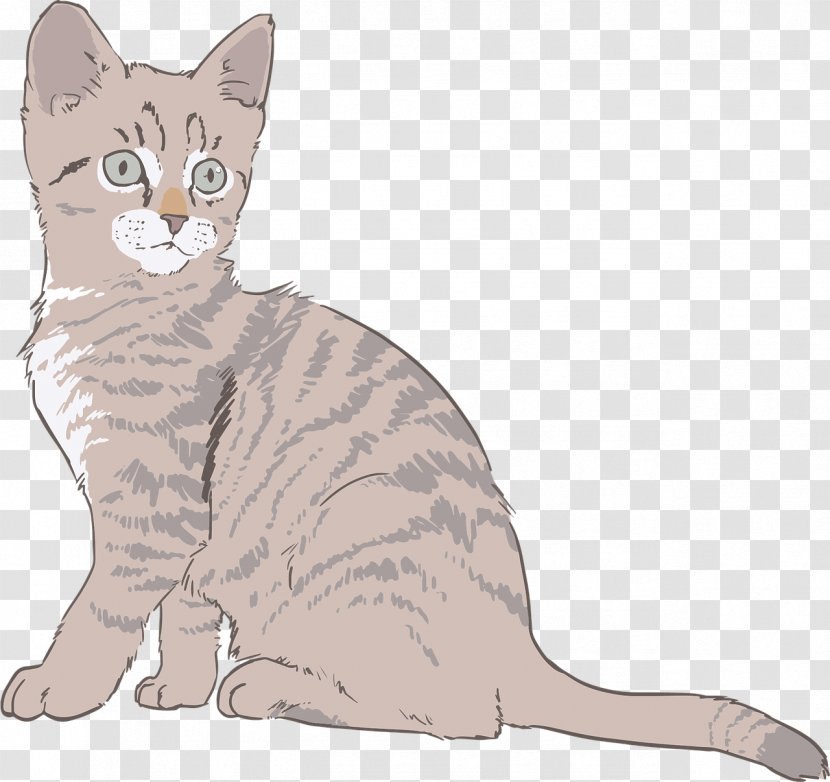 Tabby Cat Kitten Drawing Clip Art - Small To Medium Sized Cats Transparent PNG