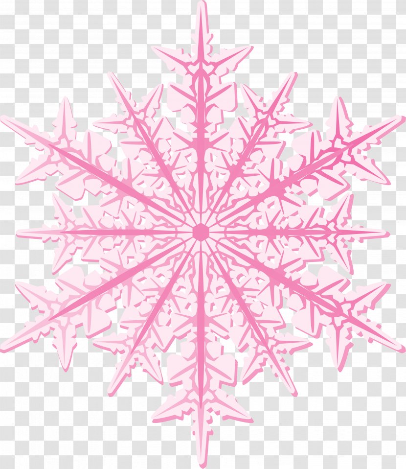 Snowflake Ice Crystals Photography - Geometry - Snow Flake Transparent PNG