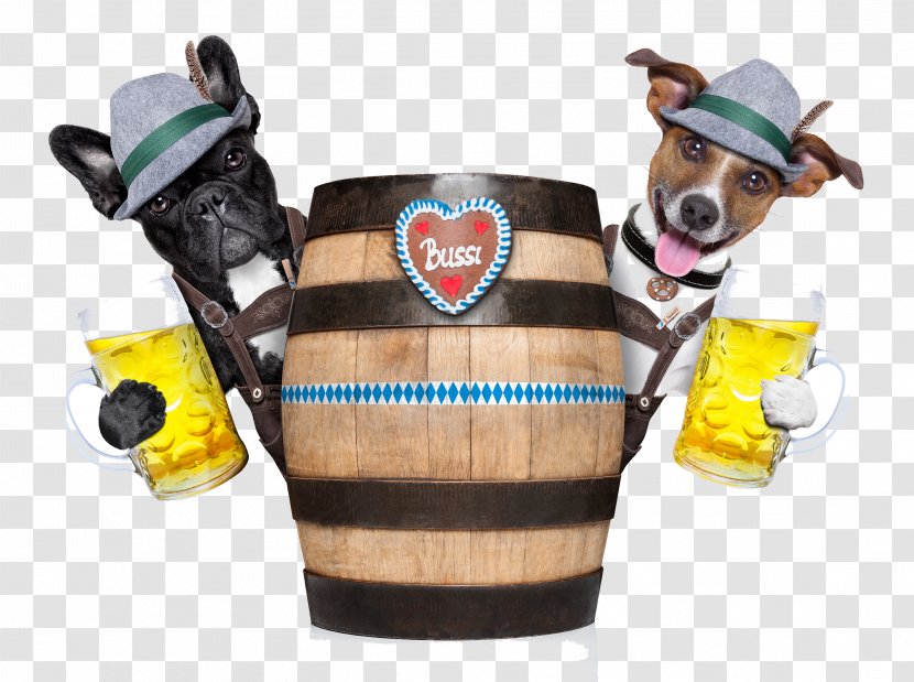 Beer Oktoberfest Bavaria Dog Stock Photography - Snout - Mug Transparent PNG
