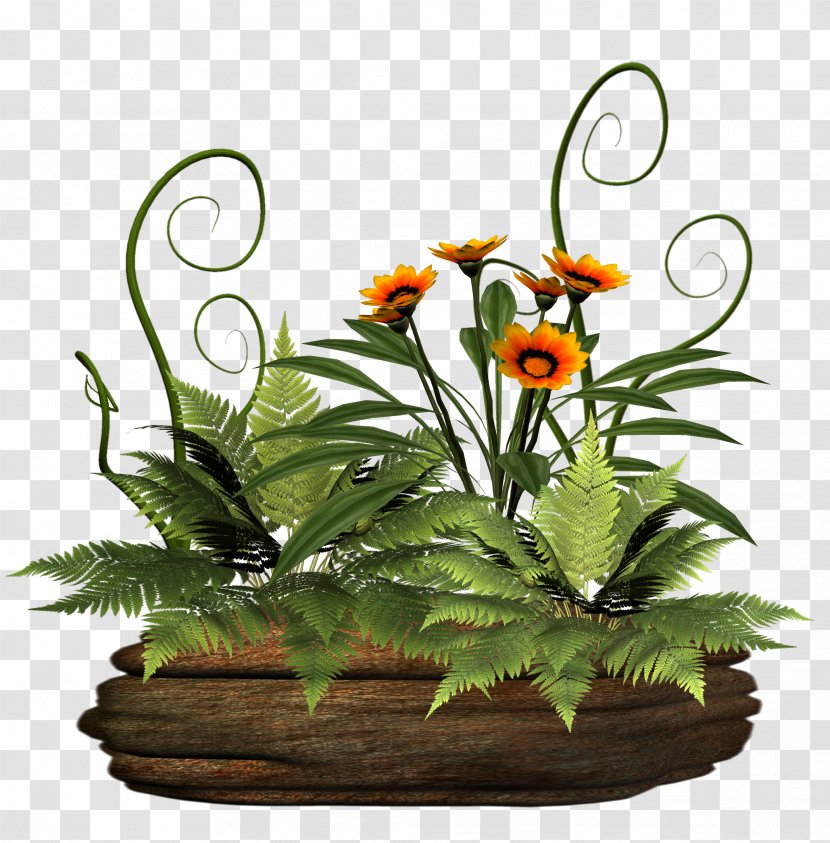 Android Plant Flower Photography - Potted Green Plants Transparent PNG