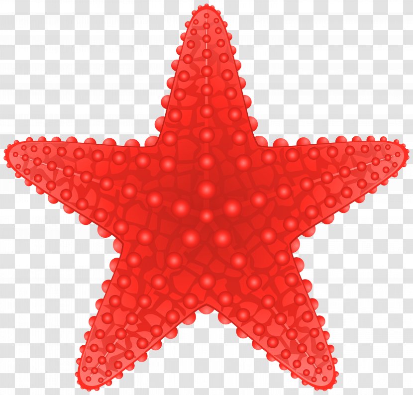 Starfish Royalty-free Clip Art - Echinoderm - Cliparts Transparent PNG