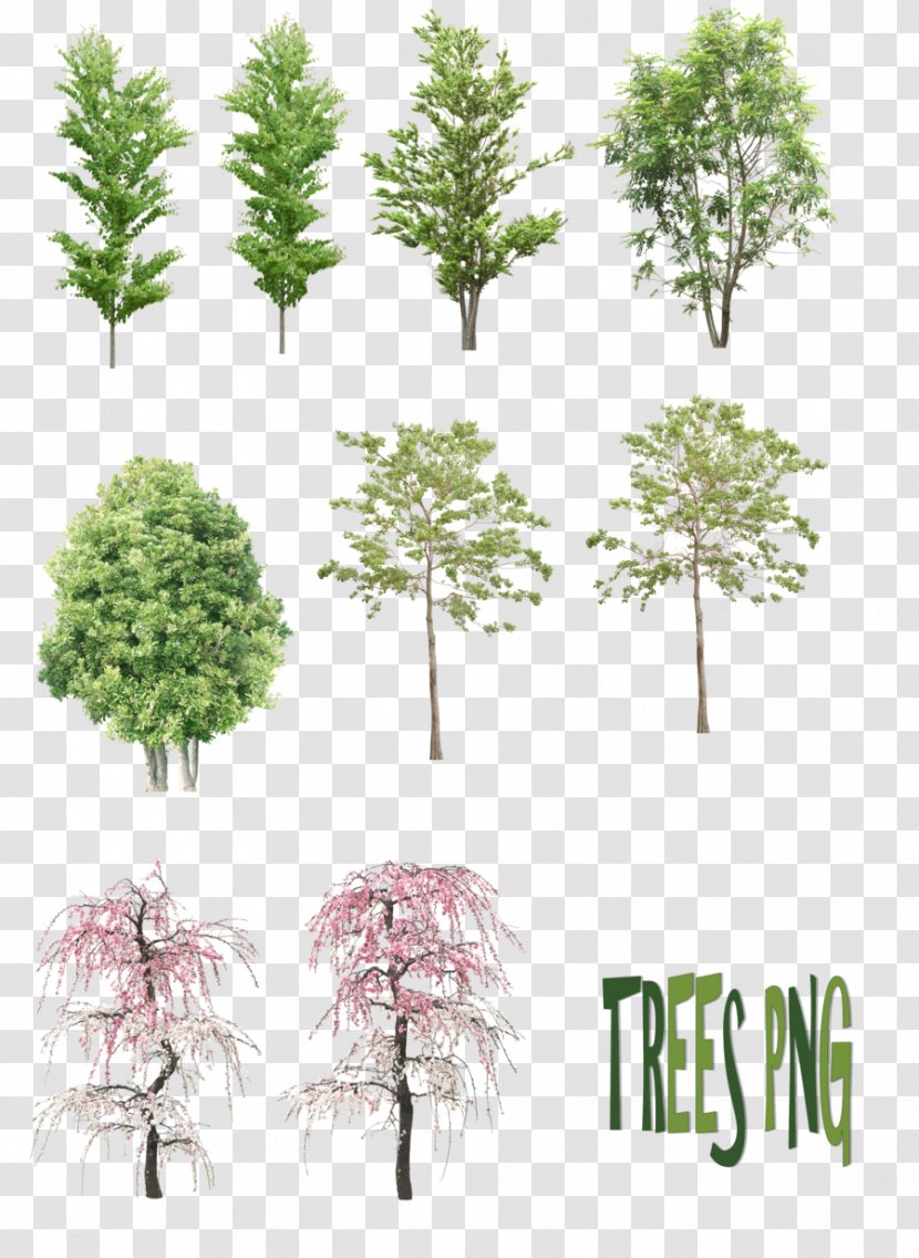 Tree DeviantArt - Computer Graphics - Watercolor Leaves Transparent PNG