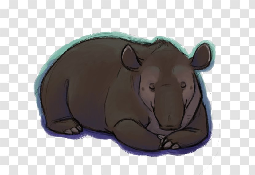 Bear Pig Snout Animated Cartoon Transparent PNG