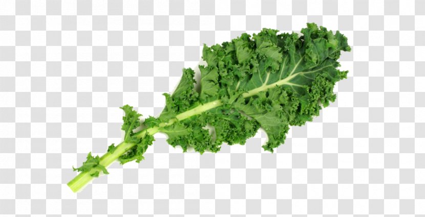 Lacinato Kale Collard Greens Spring Broccoli Leaf Transparent PNG