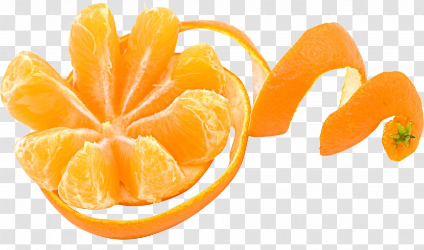 Euclidean Vector Mandarin Orange Effervescent Tablet - Shutterstock Transparent PNG
