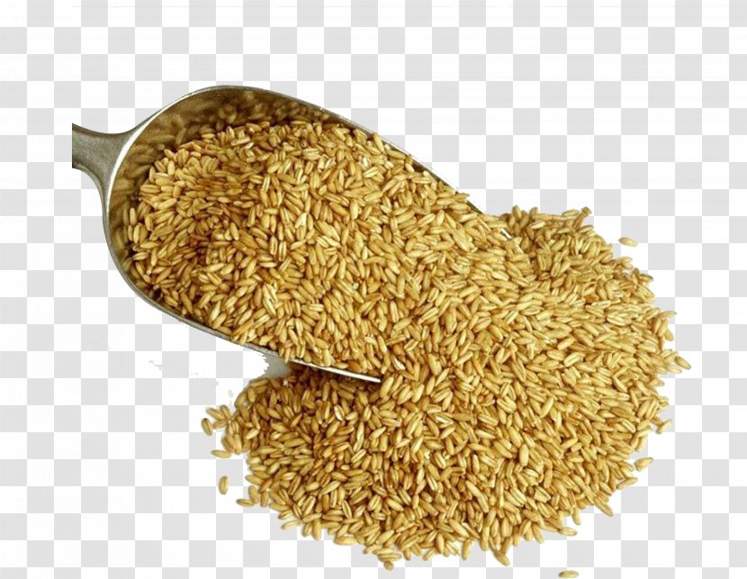 Adlay Oat Barley - Vegetarian Food Transparent PNG