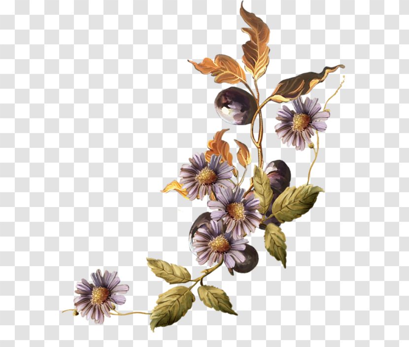 Bokmxe4rke - Membrane Winged Insect - Purple Chrysanthemum Transparent PNG