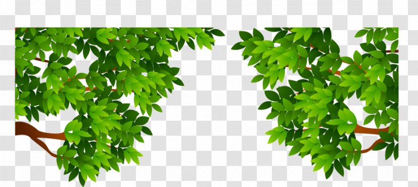 Hosiery Vector Graphics Image Branch - Plant Stem - Tree Transparent PNG