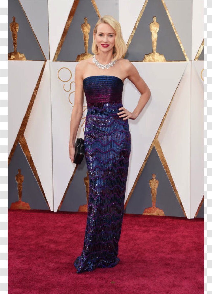 Hollywood 88th Academy Awards Red Carpet - Frame Transparent PNG