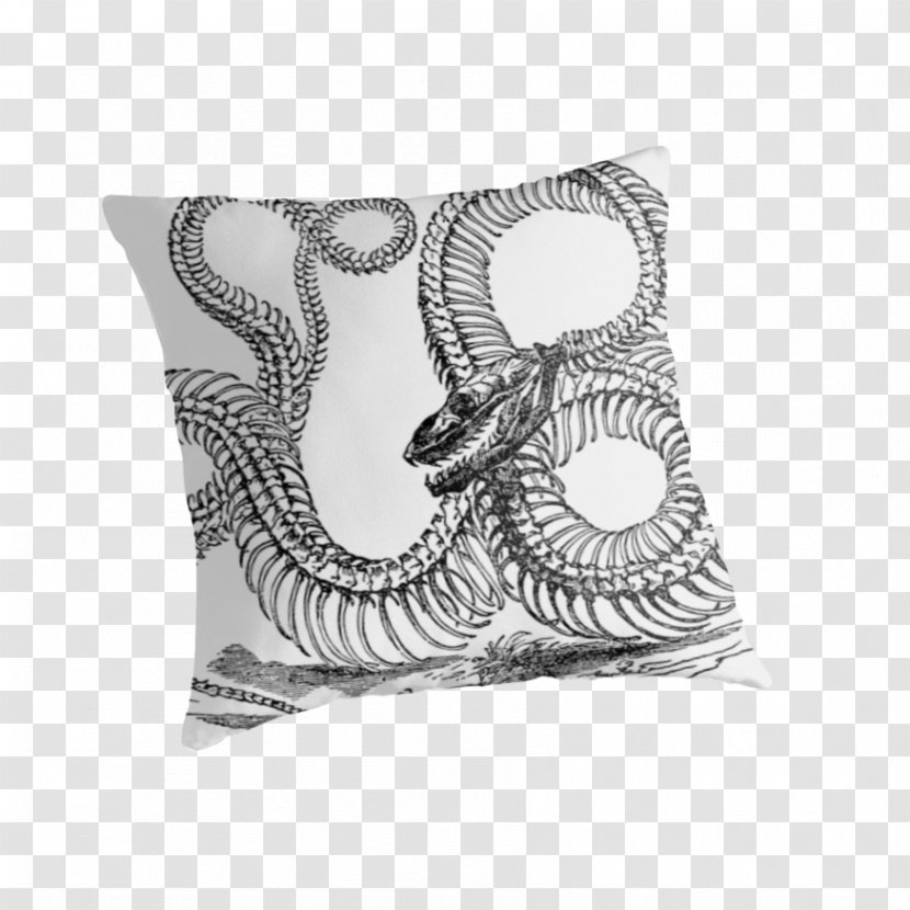 Snake Skeleton Boa Constrictor Boinae - Pillow Transparent PNG