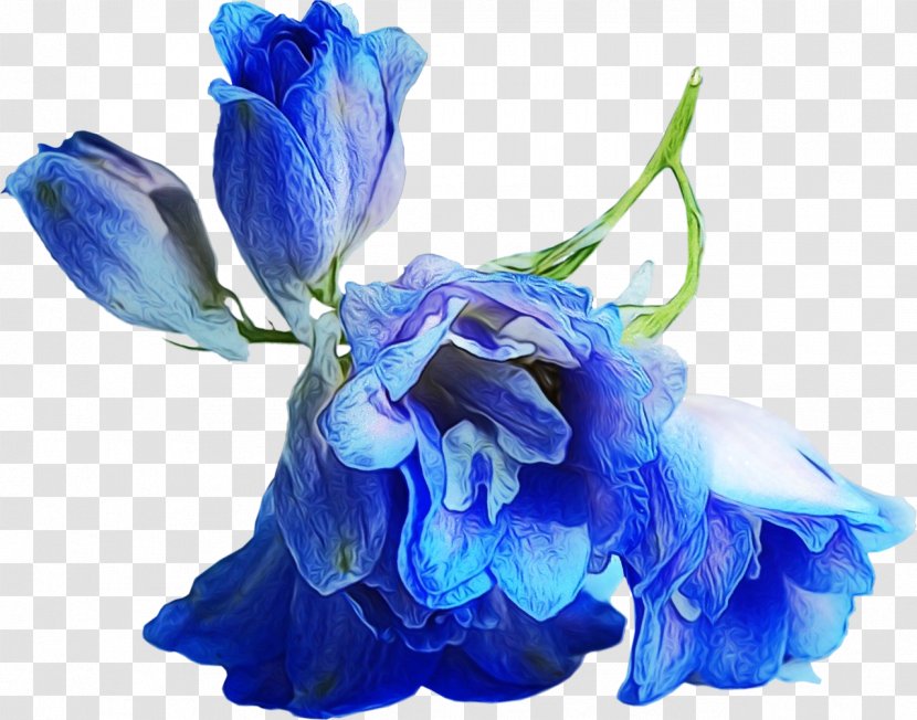 Blue Petal Flower Cut Flowers Purple - Aqua Turquoise Transparent PNG