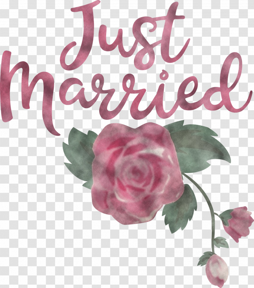 Just Married Wedding Transparent PNG