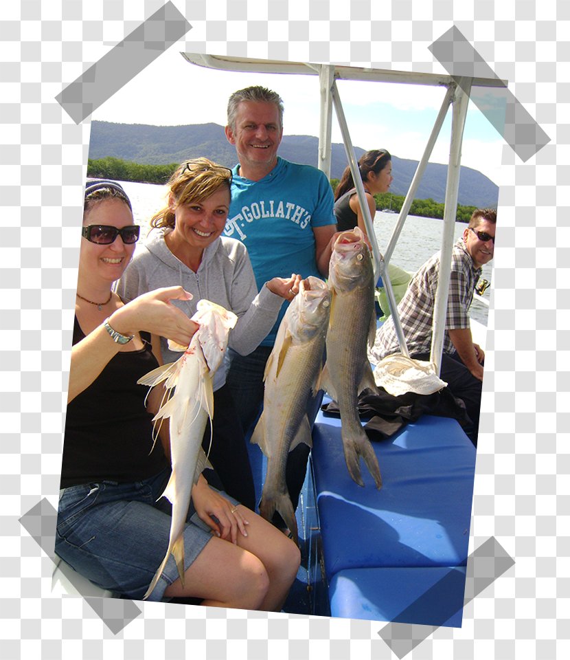 Fish Tales Charters Cairns Sportsfishing Adventures Far North Queensland Leisure - Recreation - Tour Transparent PNG