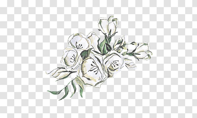 Flower White Plant Flowering Cut Flowers - Bouquet Lily Family Transparent PNG