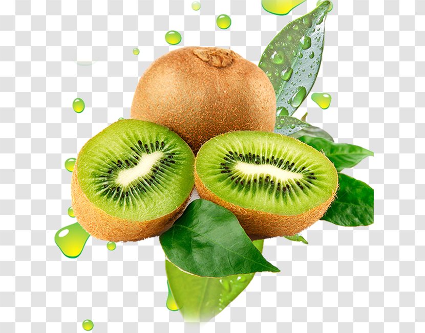 Smoothie Kiwifruit Nutrient Food Nutrition - Kiwi Transparent PNG