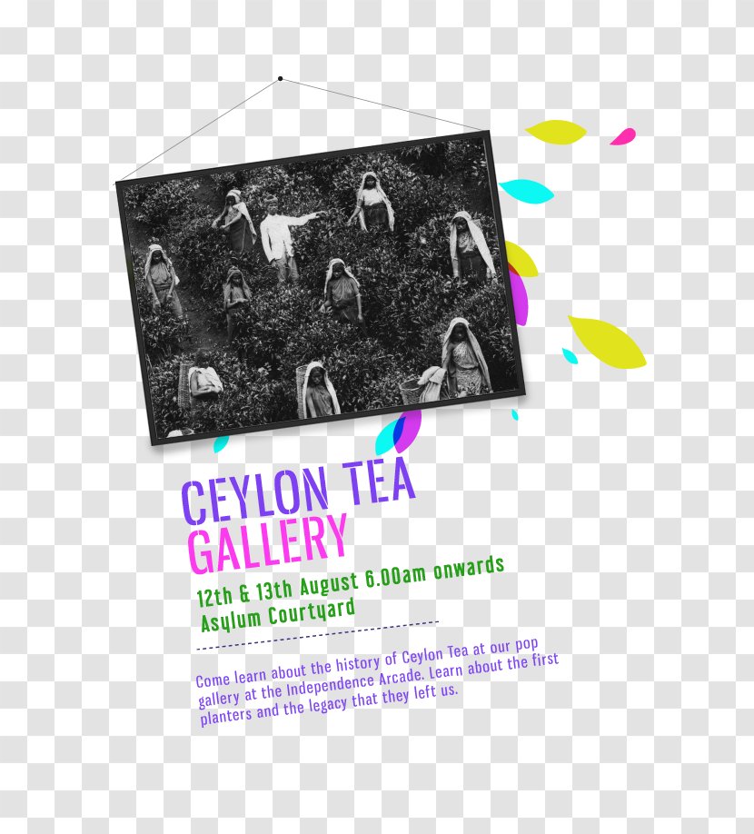 Tea Production In Sri Lanka Dominion Of Ceylon Festival Transparent PNG