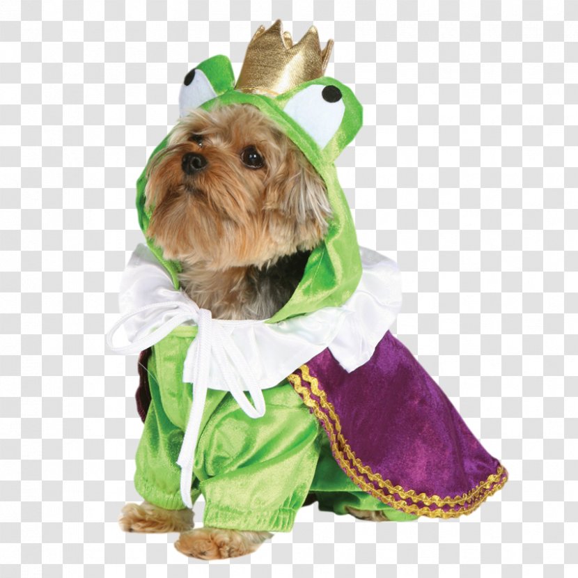 Halloween Costume Clothing Dachshund - Dress Transparent PNG