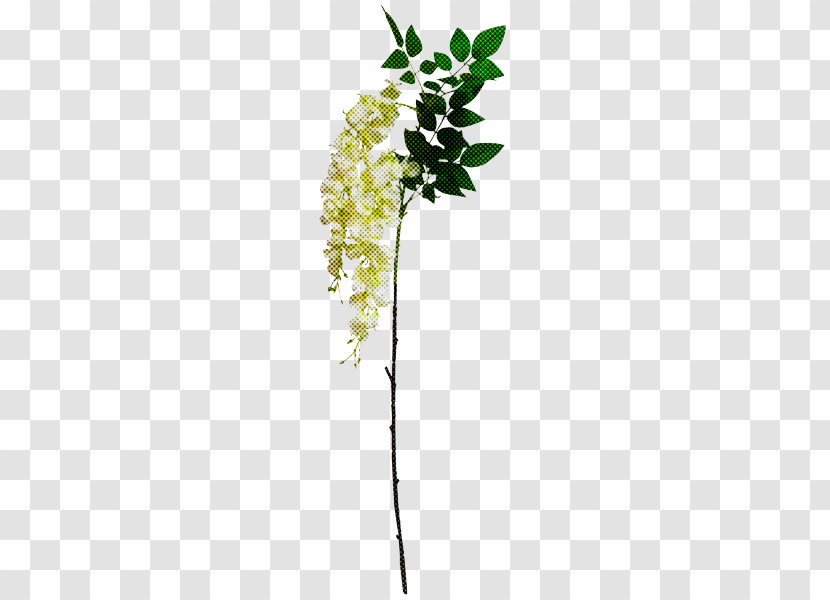 Flower Plant Leaf Plant Stem Twig Transparent PNG