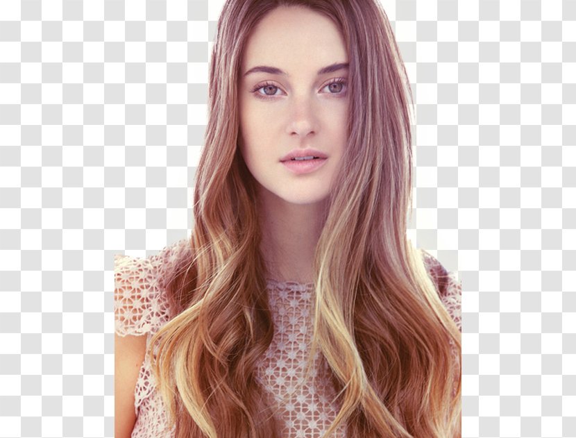 Artificial Hair Integrations Hairstyle Human Color Long - Silhouette - Shailene Woodley Transparent PNG