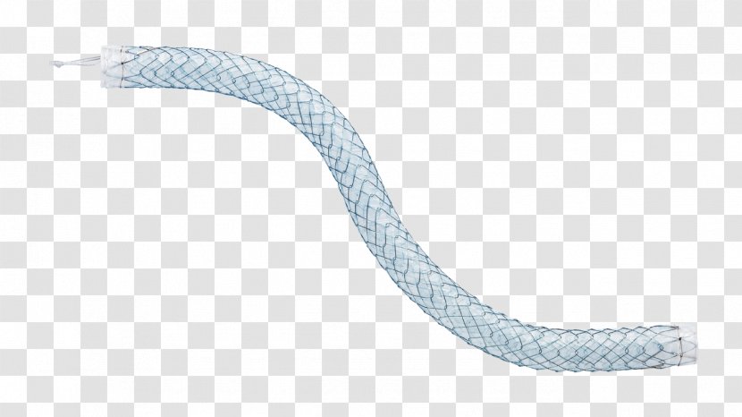 Ureteric Stent Stenting Kidney Health - Platinum Ring Transparent PNG