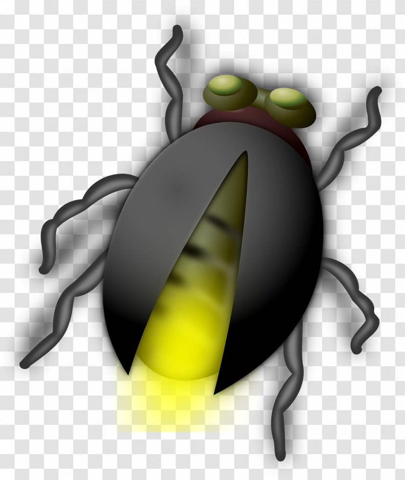 Beetle Firefly Clip Art - Pollinator - Black Transparent PNG