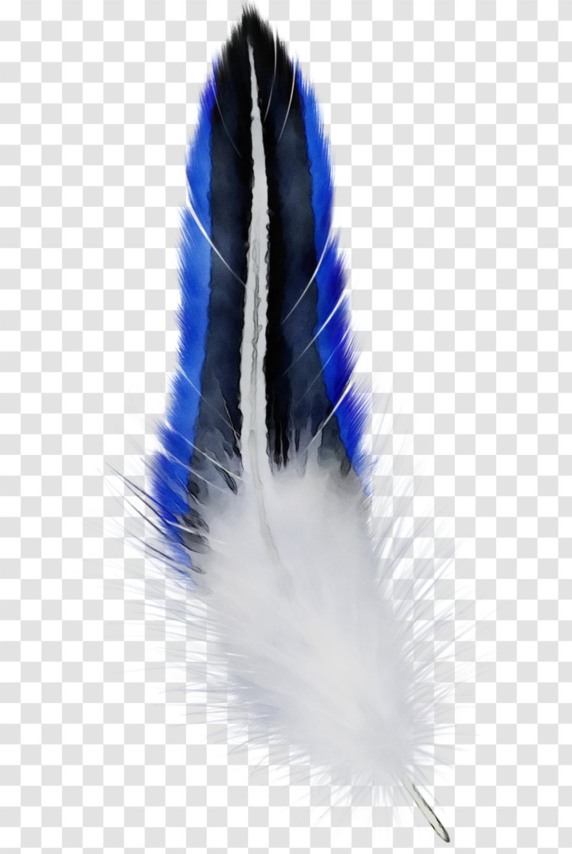 Cobalt Blue Feather - Natural Material Transparent PNG