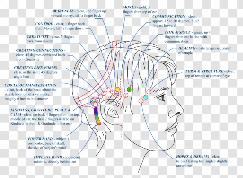 Access Consciousness Attitude YouTube Thought - Cartoon - Back Point Chart Transparent PNG