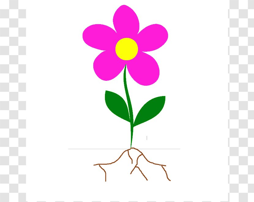 Flower Root Plant Stem Clip Art - Floral Design - Template Transparent PNG