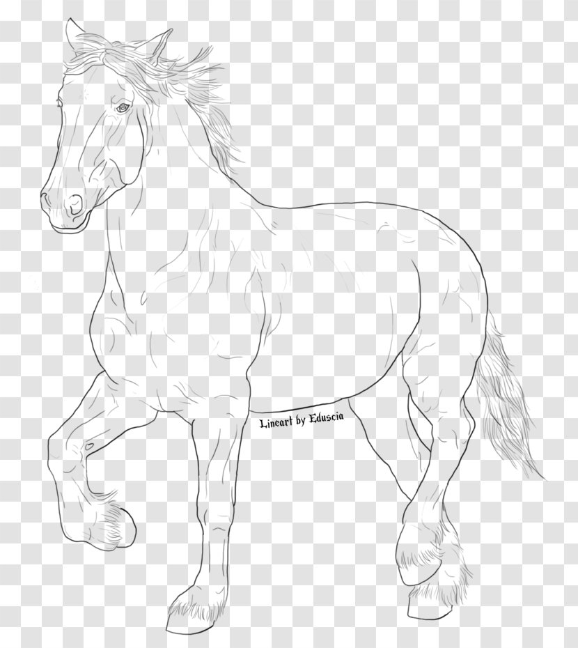 Mustang Pony Stallion Foal Colt - Animal - Galloping Horse Transparent PNG