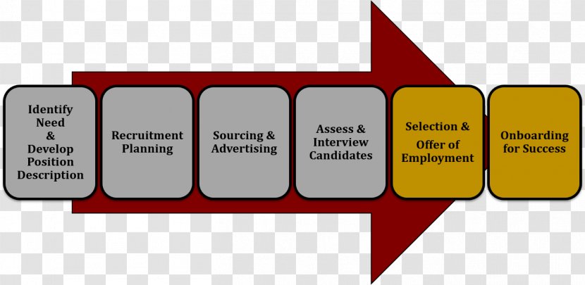Research Education Development Center (EDC) Background Information Organization - Area Transparent PNG