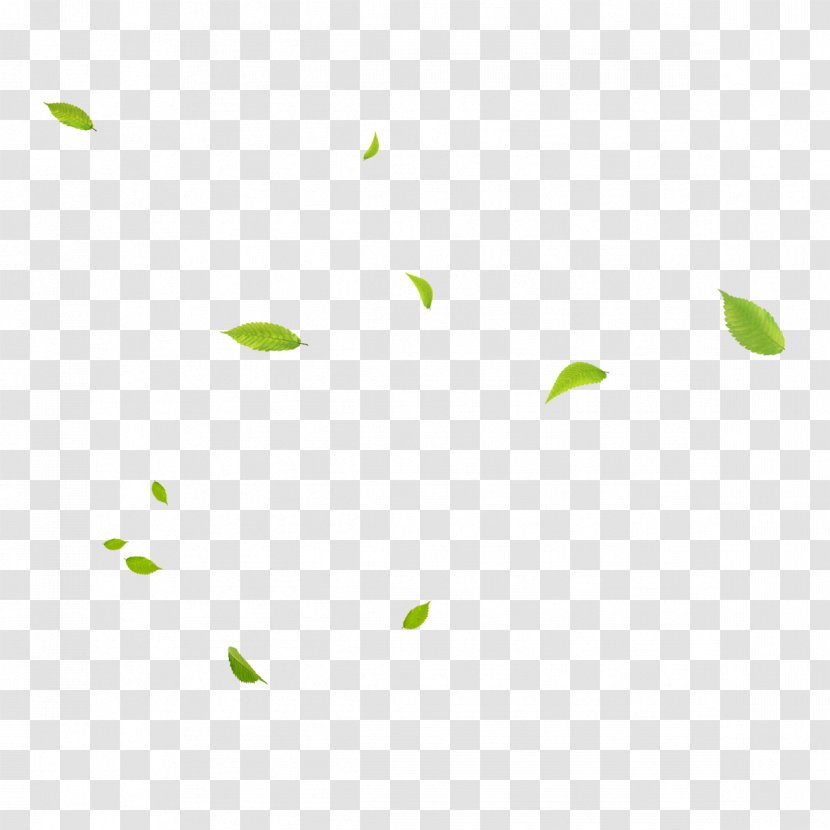 Green Area Angle Pattern - Symmetry - Floating Leaves Transparent PNG