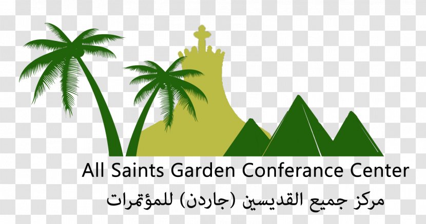 Arecaceae Tilko Jaffna City Hotel Tree T-shirt - Palm - All Saints Logo Transparent PNG