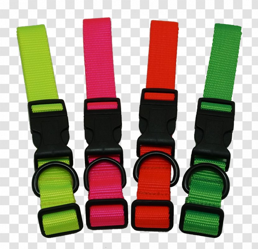Yellow Orange Collar Green Blue - Dried Material Transparent PNG