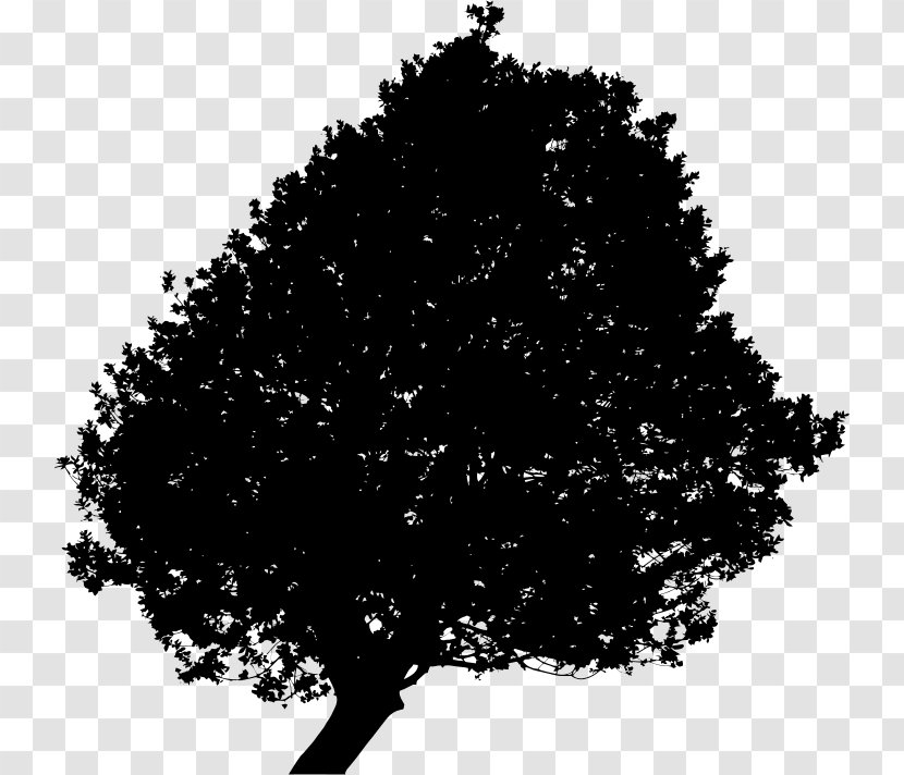 Tree Clip Art - Silhouette - Lonely Transparent PNG