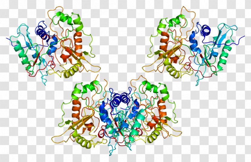 Protein N-myristoyltransferase 1 Myristoylation Enzyme Wikipedia - Tree - Silhouette Transparent PNG