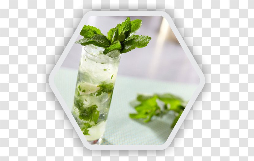Gin And Tonic Cocktail Mojito Rum - Water Transparent PNG