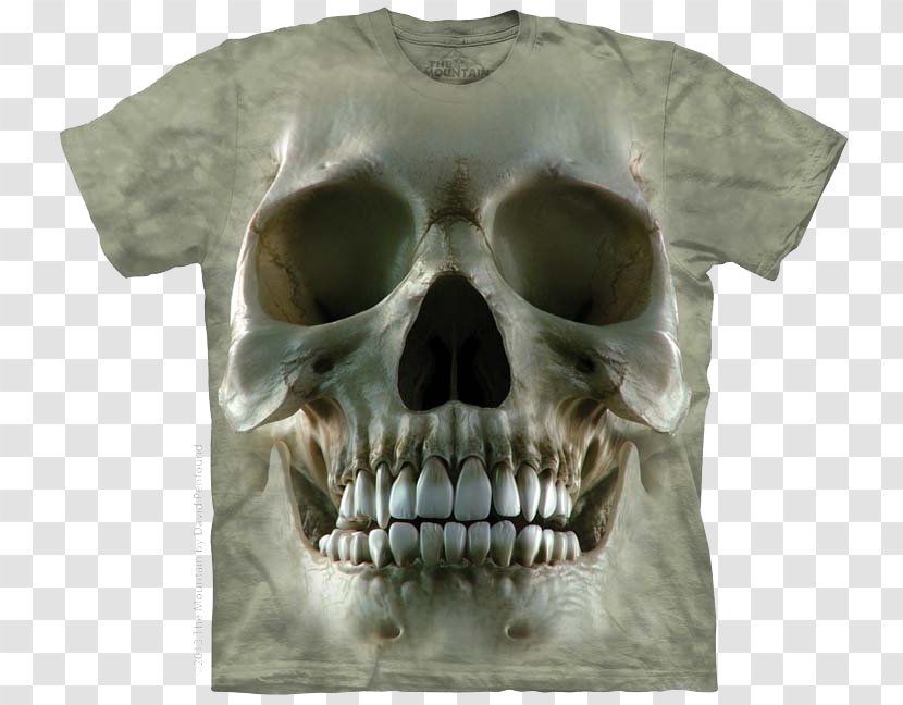 T-shirt Hoodie Top Amazon.com - Clothing Transparent PNG