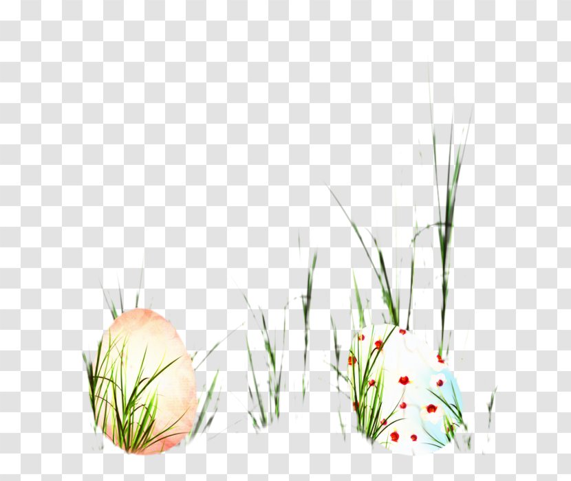 Grasses Easter Egg Desktop Wallpaper Illustration - Botany - Computer Transparent PNG