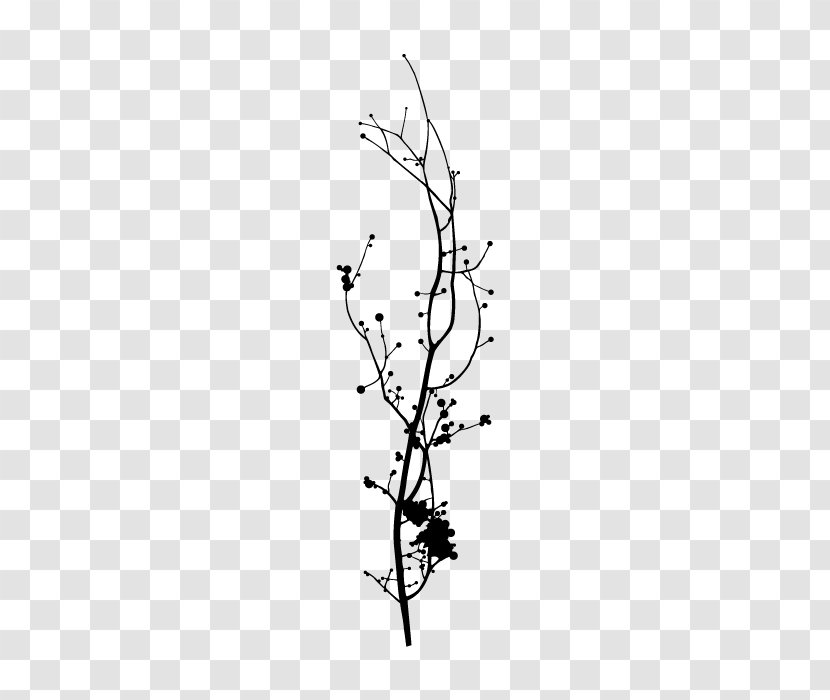 Branch Tree Twig Woody Plant Leaf - Black And White - Rama Transparent PNG